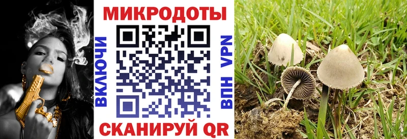 Галлюциногенные грибы Magic Shrooms  Ивангород 